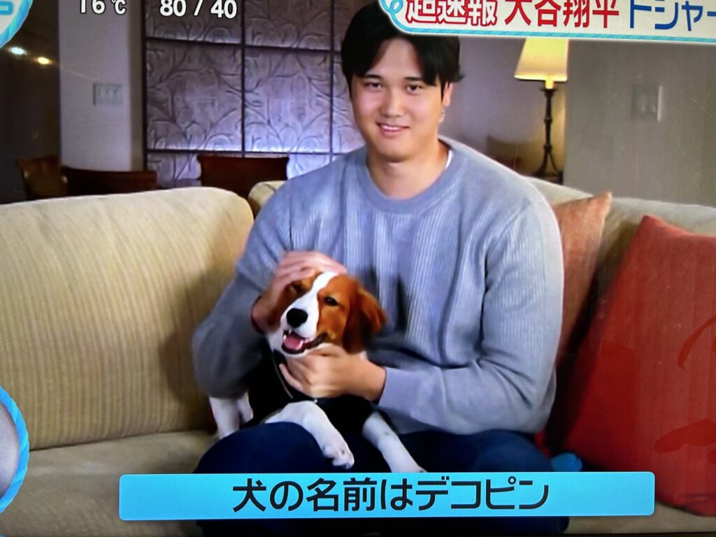 犬・デコピンと大谷翔平選手